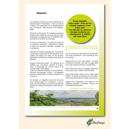 Magazines points métalliques C28P