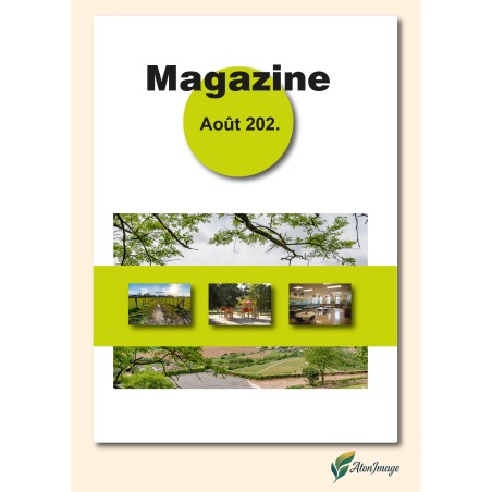 Création Magazines points métalliques C28P