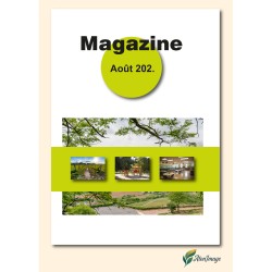 Création Magazines points métalliques C32P