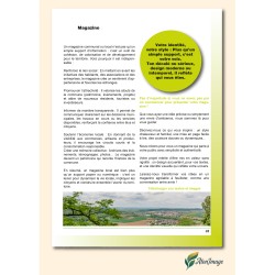 Magazines points métalliques C36P