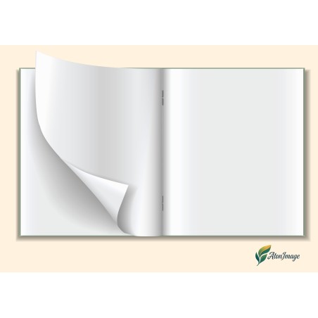 Magazines points métalliques 44P